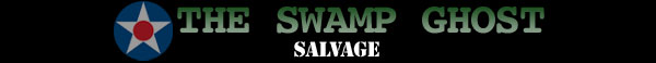 The Swamp Ghost