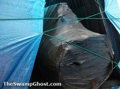 TheSwampGhost.com