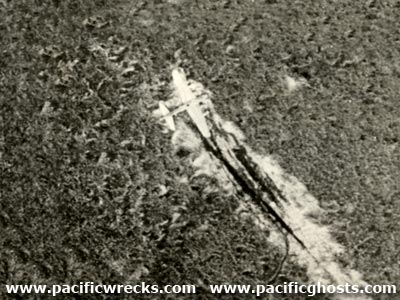 TheSwampGhost.com