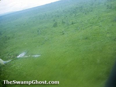 TheSwampGhost.com