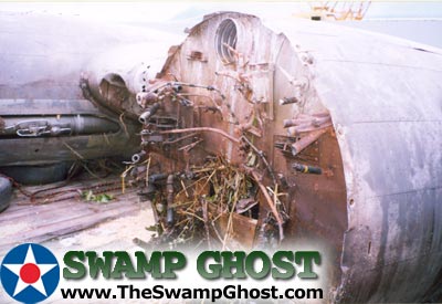 TheSwampGhost.com