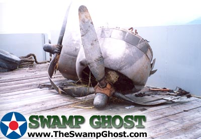 TheSwampGhost.com
