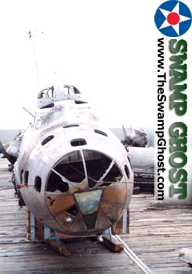 TheSwampGhost.com