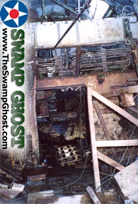 TheSwampGhost.com